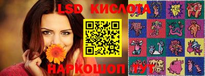 тгк Шебекино