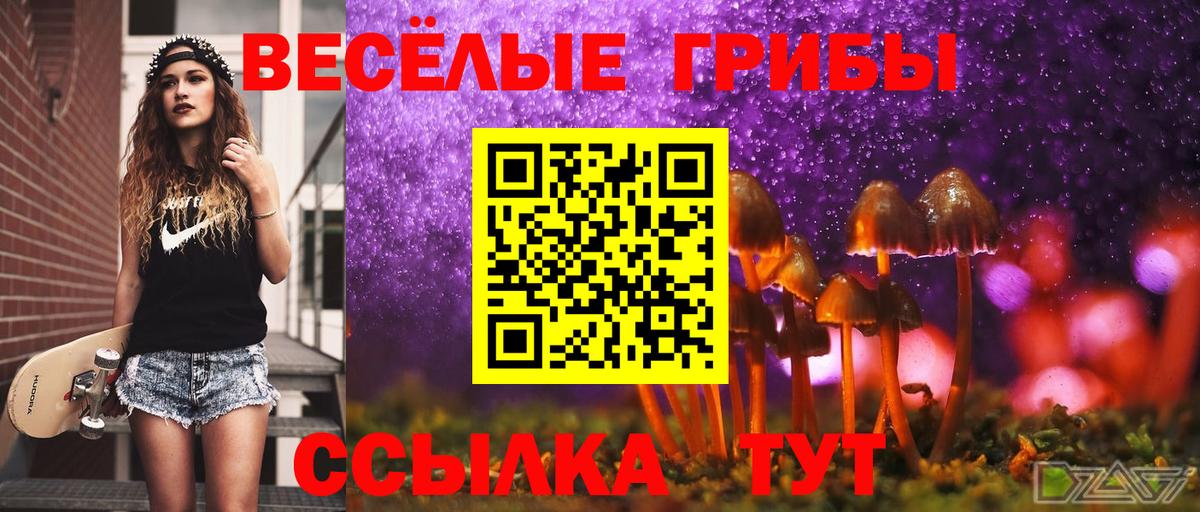 Галлюциногенные грибы мухоморы  Галлюциногенные грибы Psilocybine cubensis  Белореченск  Вход с VPN 